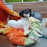 IMG_20220926_171902_909_verkleinert